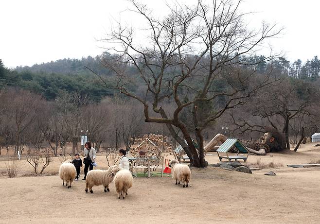 포천 애니멀스토리 in 평강랜드. [경기관광공사]