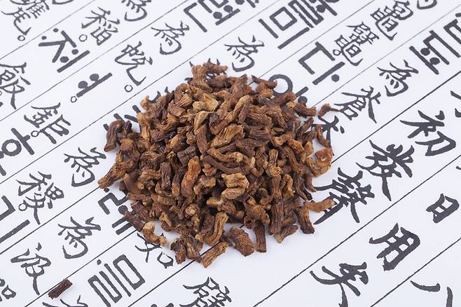게티이미지뱅크