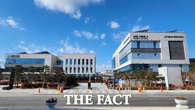 보령시 원도심 복합업무타운 전경. /보령시