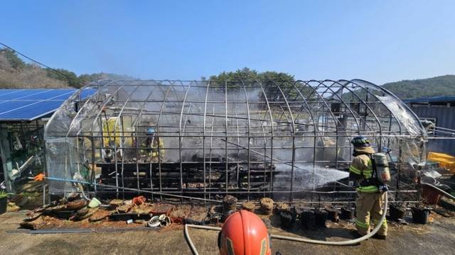▲ 2일 오전 10시 22분쯤 양양군 손양면 학포리의 한 주택 비닐하우스에서 불이 나 소방당국이 진화했다. 강원소방본부 제공