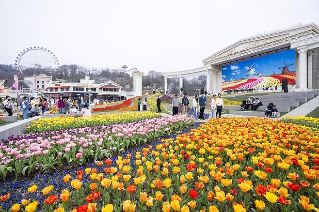 Everland's signature tulip festival held at Four Seasons Garden [EVERLAND]