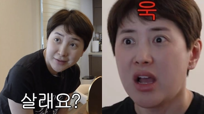 유튜브 채널 ‘개과천선 서인영’ 영상 캡처.