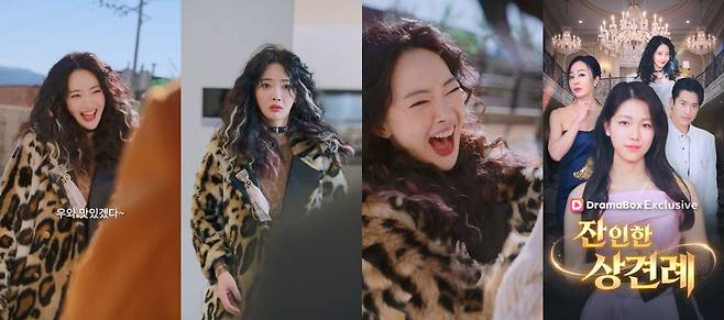 드라마박스 ‘잔인한 상견례’