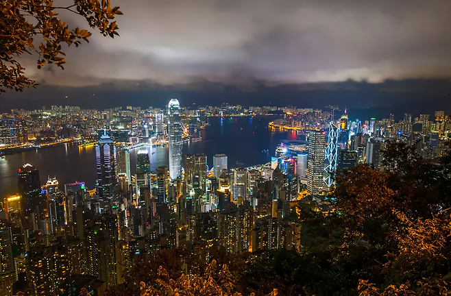 ▲ 출처| 국제축구연맹(FIFA)