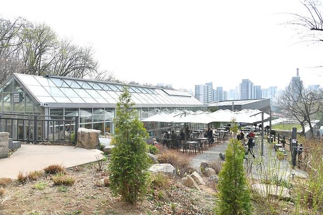 카페 포레스트 테라스형 좌석 [노원구 제공. 재판매 및 DB 금지]