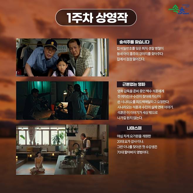 속초 선셋 시네마 상영작 [속초시 제공. 재판매 및 DB 금지]