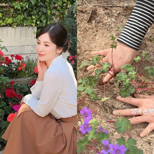 송혜교 / 사진 = 송혜교 SNS