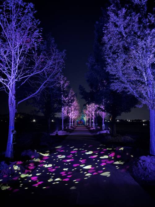 경포생태저류지에서는 수변문화축제가 펼쳐져 커피콩배, 오죽전통배 등을 무료로 즐길 수 있고 메타세쿼이아길에는 야간 조명이 설치돼 주·야간 모두 색다른 경관을 제공할 예정이다.