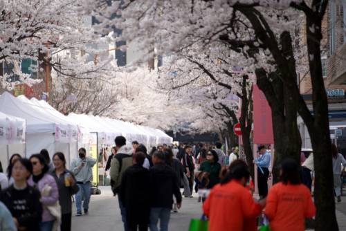 ◇강릉교동택지 일원에서는 3일부터 5일까지 솔올블라썸이 개막했다. 축제의 중심인 솔올공연장에서는 초청가수 공연과 교1동 주민자치센터 수강생들의 발표 무대가 진행되고 일부 구간을 ‘차 없는 거리’로 운영해 플리마켓, 먹거리, 영화 상영, 어린이 놀이터 등 다양한 프로그램이 마련돼 남녀노소 누구나 즐길 수 있는 축제의 장이 펼쳐졌다.