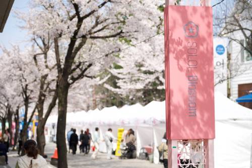 ◇강릉교동택지 일원에서는 3일부터 5일까지 솔올블라썸이 개막했다. 축제의 중심인 솔올공연장에서는 초청가수 공연과 교1동 주민자치센터 수강생들의 발표 무대가 진행되고 일부 구간을 ‘차 없는 거리’로 운영해 플리마켓, 먹거리, 영화 상영, 어린이 놀이터 등 다양한 프로그램이 마련돼 남녀노소 누구나 즐길 수 있는 축제의 장이 펼쳐졌다.