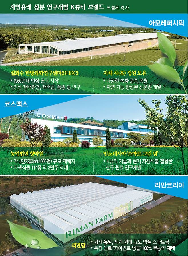 자연 유래 성분 연구개발 K뷰티 브랜드 현황(이투데이 그래픽팀=신미영 기자)