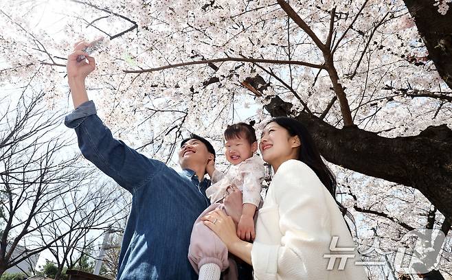 지난 2일 서울 여의도 윤중로에서 한 가족이 벚꽃 아래에서 기념촬영을 하고 있다. 2026.4.2 ⓒ 뉴스1 최지환 기자