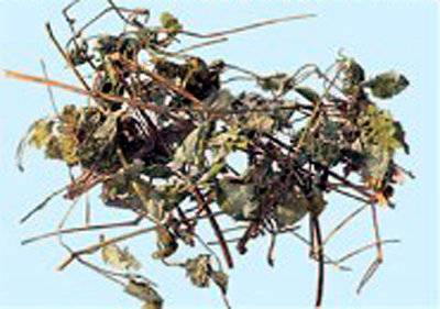 식품의약품안전처