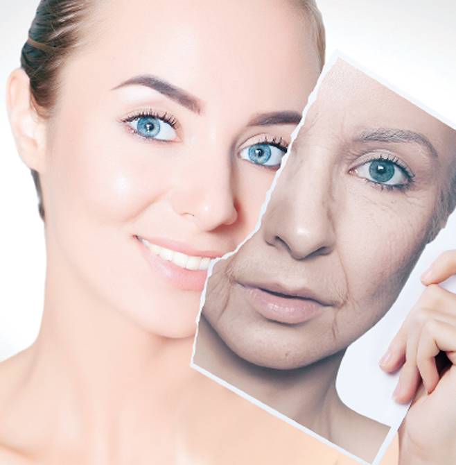 /사진 셔터스톡