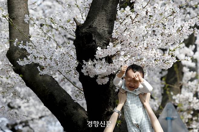 2026 여의도 벚꽃 축제 개막일인 3일 서울 여의도 윤중로 벚꽃길에서 시민들과 관광객들이 봄기운을 만끽하고 있다. 문재원 기자