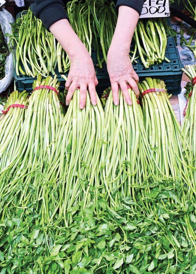 봄 제철을 맞아 향과 맛이 한껏 오른 미나리가 시장에 가득하다. 서울 동대문구 경동시장에서 지난달 31일 한 상인이 갓 수확한 경북 청도 한재 미나리를 판매하고 있다. 권현구 기자
