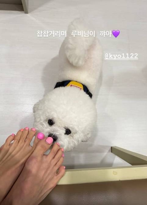 조여정 소셜 미디어