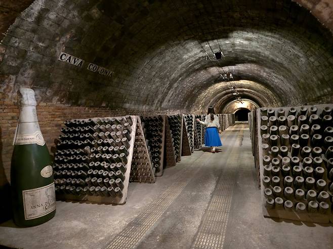코도르뉴 지하 셀러. 최현태 기자