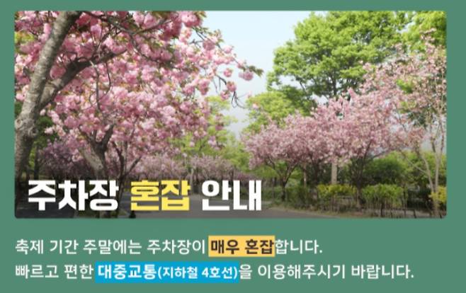 2026 서울대공원 벚꽃축제 주차장 매우 혼잡, 주차 주의 필요&nbsp;