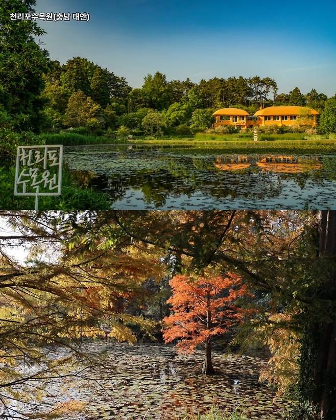 천리포수목원