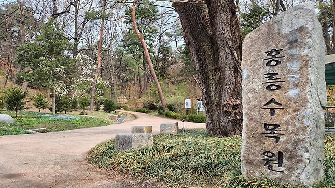 홍릉숲 [촬영 김정선]