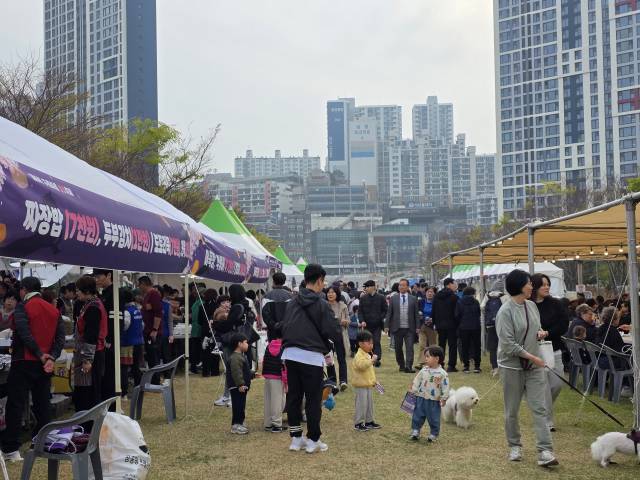 벚꽃이 만개한 주말을 맞이해 부산 지역 곳곳이 분홍빛 축제로 물들었다. 사진은 지난 3일 진행된 영도구 구룡마을 벚꽃축제 모습. 김재량 기자 ryang@