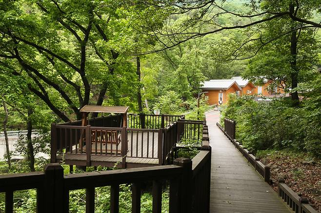 ▲ 국립칠곡숲체원 다누리길 전경사진. 한국산림복지진흥원 국립칠곡숲체원 제공