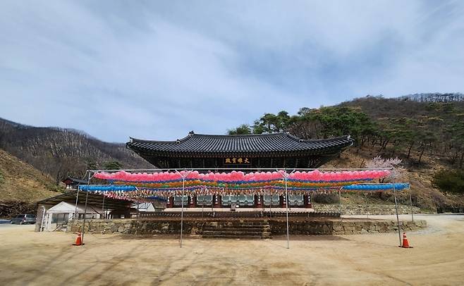 산불 피해 속에서도 고운사 대웅보전은 불길을 피했다. 주변 능선에는 불에 탄 흔적이 남아 있다.