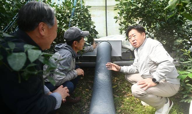 오영훈 더불어민주당 제주도지사 예비후보는 4일 첫 민생행보로 남원읍 소재 감귤농가를 찾아 유류비 절감을 위한 히트펌프 보급 대책을 공유했다.
