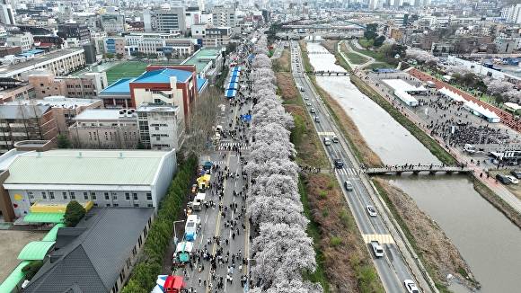 청주예술제 기간 항공 촬영한 청주 무심천 일대 전경. [사진=청주시]