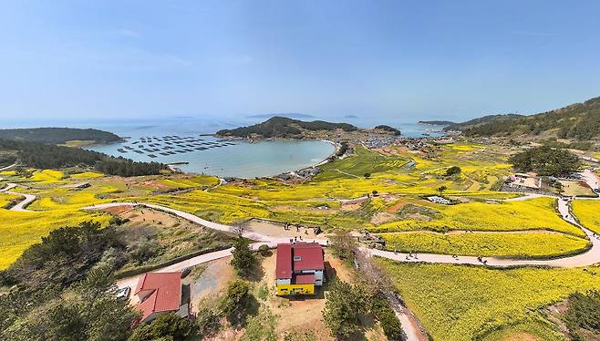 지난해 4월 슬로길걷기축제 당시 노란 유채꽃과 청보리밭, 남해의 풍광이 어우러진 완도군 청산도 전경. 사진 완도군