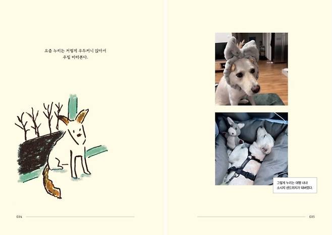 사진 = 다산책방