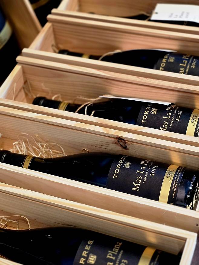 마스 라 플라나. 최현태 기자