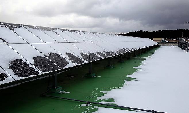 제주시 아라동에 있는 제주대학교 본관 옥상에 설치된 태양광 패널에 눈이 쌓여있는 모습. 뉴시스