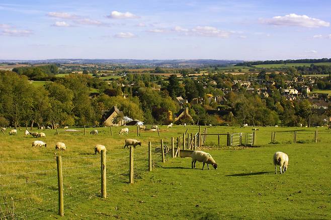 평온한 시골 풍경이 아름다운 코츠월드. GETTYIMAGES
