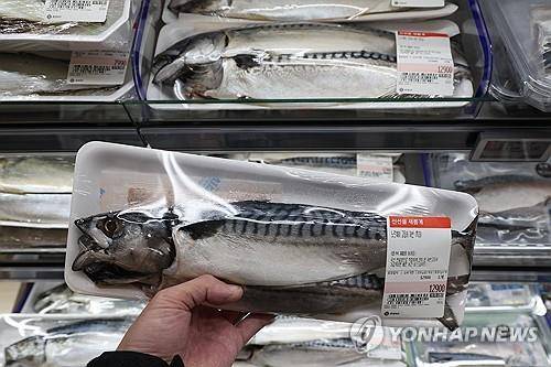고등어 수급 불안 [연합뉴스 자료사진]