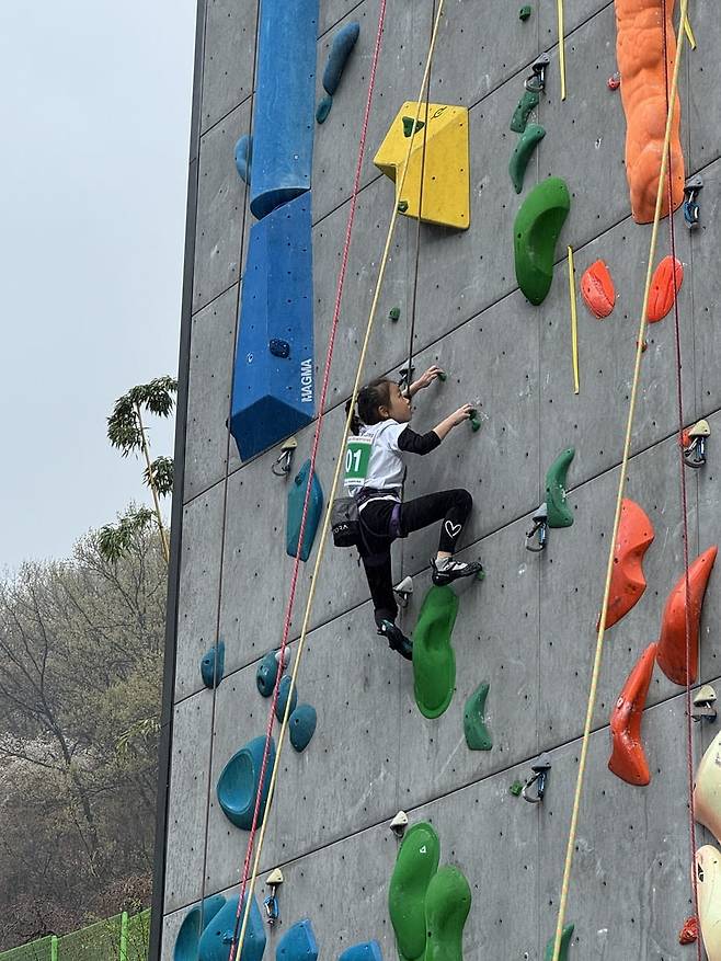 리드 경기 장면 [대한산악연맹 제공. 재판매 및 DB금지]
