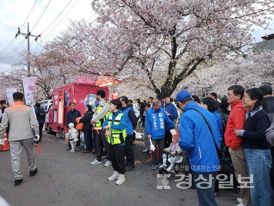 지난 4일 찾은 울산 남구 궁거랑벚꽃축제 현장. 더불어민주당이 나들이객 속에서 유세를 펼치고 있다.