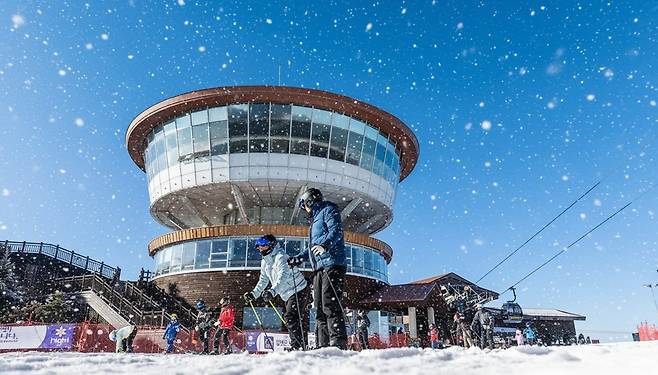 강원도 정선 하이원리조트 스키장 자료 사진. /강원랜드 제공