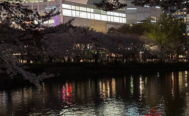 지난 4일 밤 서울 송파구 석촌호수 벚꽃 조명이 꺼져 있다. 조명을 기대하고 방문한 시민들은 아쉬운 반응을 보였다. /독자 제공