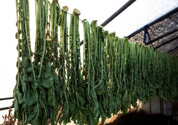 사진은 무청 시래기. [사진=픽사베이 ]