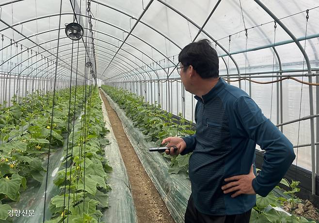 충남 천안에서 오이 재배를 하는 김준수씨가 스마트폰으로 비닐하우스를 둘러싼 비닐삼중막을 원격으로 여닫고 있다.