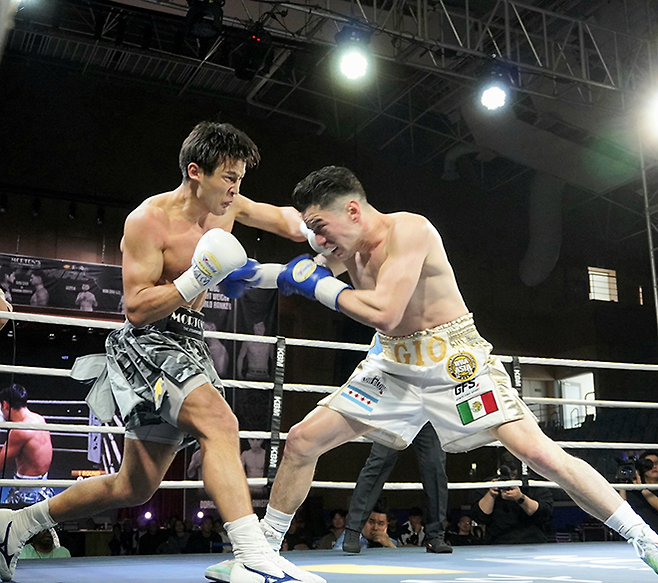 세계복싱협회 라이트급 아시아 챔피언 최시로가 2026년 4월 경기도 남양주체육문화센터 특설 링 타이틀 2차 방어전에서 도전자 조반니 카브레라 미올레티보다 먼저 때리고 있다. 사진=한국복싱커미션 KBM