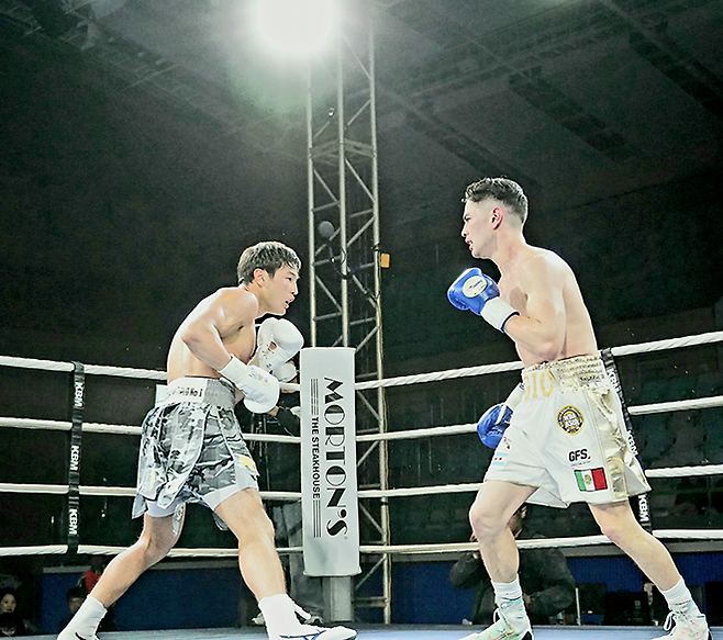 세계복싱협회 라이트급 아시아 챔피언 최시로가 2026년 4월 경기도 남양주체육문화센터 특설 링 타이틀 2차 방어전에서 도전자 조반니 카브레라 미올레티를 상대하고 있다. 사진=한국복싱커미션 KBM