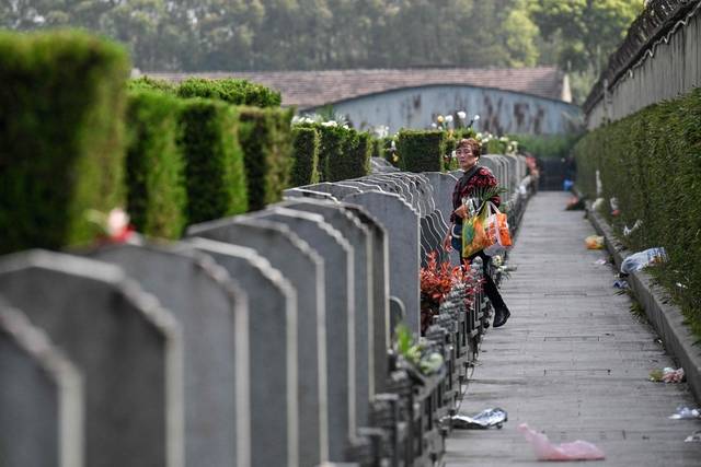 중국 상하이에서 청명절을 하루 앞둔 4일 한 시민이 꽃을 들고 묘지 사이를 걷고 있다. AFP 연합뉴스