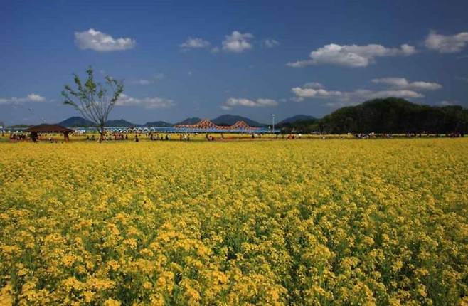 사진 창녕군 *재판매 및 DB 금지