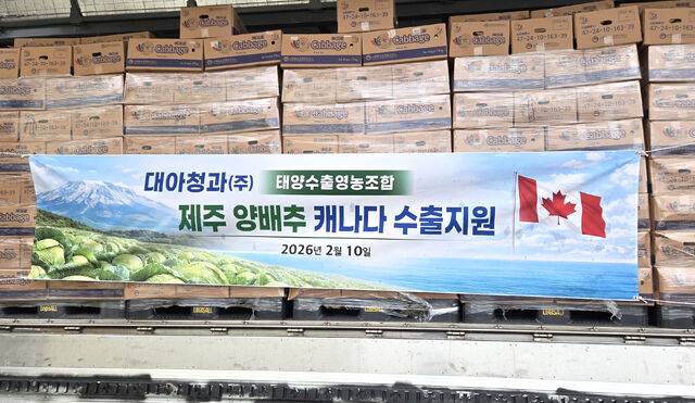 서울 가락시장 도매시장법인 대아청과와 태양수출영농조합법인이 국산 양배추 공급 과잉을 해소하고자 제주산 양배추 62t을 캐나다로 수출해 호평받았다. 대아청과