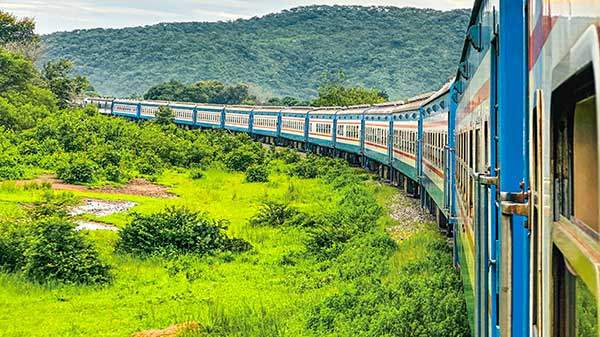 초록빛 아프리카 대지를 길게 휘어 달리는 타자라 열차. 차창 밖으로 끝없는 초원이 펼쳐진다.