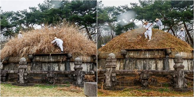 절기상 한식(寒食)인 6일 경기 구리시 동구릉 내 태조 이성계의 건원릉(健元陵)에서 동구릉 관리사무소 관계자들이 봉분을 덮고 있는 억새를 자르는 ‘청완 예초의(靑薍 刈草儀)’를 거행하고 있다. 왼쪽은 억새를 베기 전, 오른쪽은 벤 후의 모습.