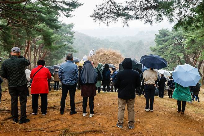 절기상 한식(寒食)인 6일 경기 구리시 동구릉 내 태조 이성계의 건원릉(健元陵)에서 시민들이 봉분을 덮고 있는 억새를 자르는 ‘청완 예초의(靑薍 刈草儀)’를 지켜보고 있다.